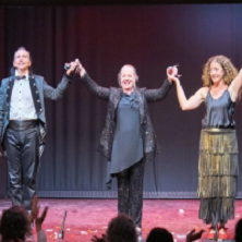 Teresa Laiz - Di Vinos - Casta&ntilde;uelas