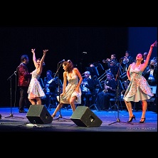 The 1000 Streets&acute; Orchestra + Les Babettes