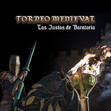 Torneo Medieval de Alcal&aacute; de Henares. Mercadillo Cervantino