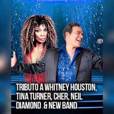 Tributo a Tina Turner, Whitney Houston y otros.