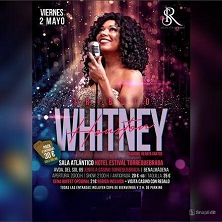 Tributo a Whitney Houston