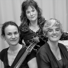 TRIO 3&3 and ACOUHYB