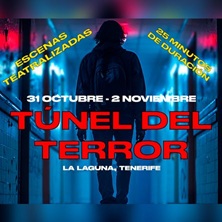 T&uacute;nel del Terror - Instituto del Terror