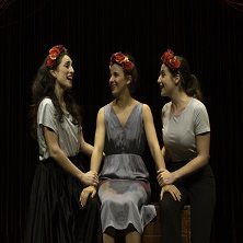 Un animal en mi almohada