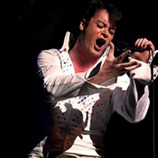 Una ucron&iacute;a sobre Elvis