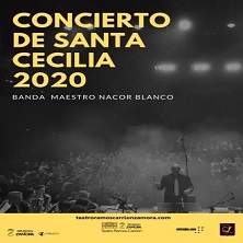 Concierto Santa Cecilia - Zamora