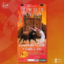 Valencia de Don Juan