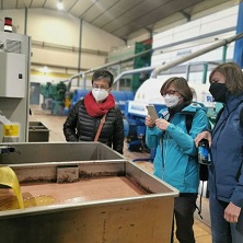 Visita guiada Almazara y Cata degustaci&oacute;n