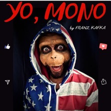 Yo, mono