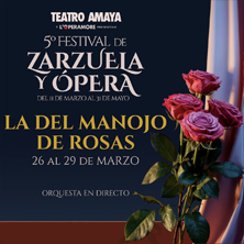 The Lady Of The Brunch Of Roses