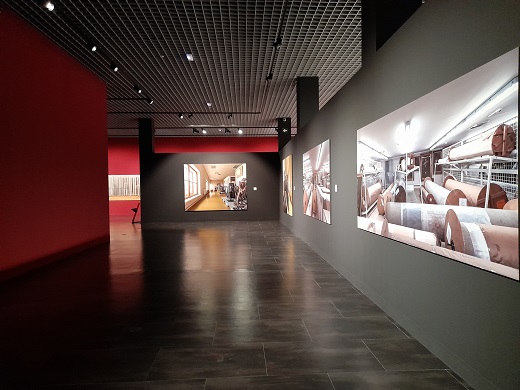 Colecci&oacute;n Museo Ruso