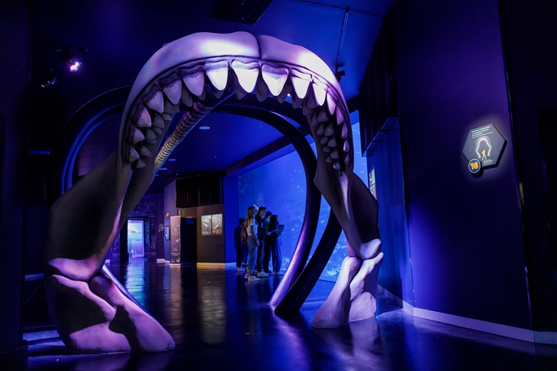 Atlantis Aquarium