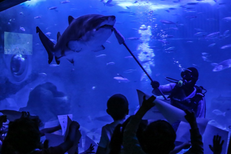 Acuario de Sevilla