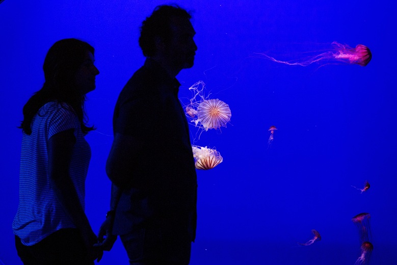 Acuario de Sevilla
