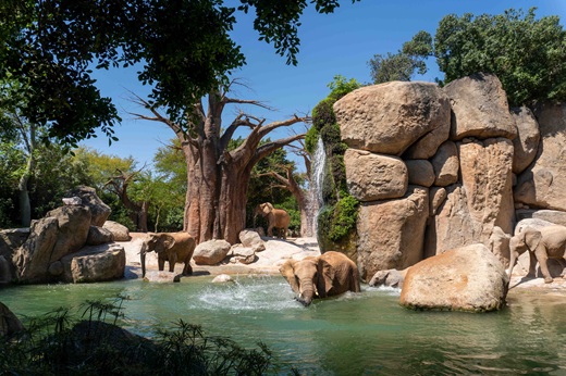 Bioparc Valencia