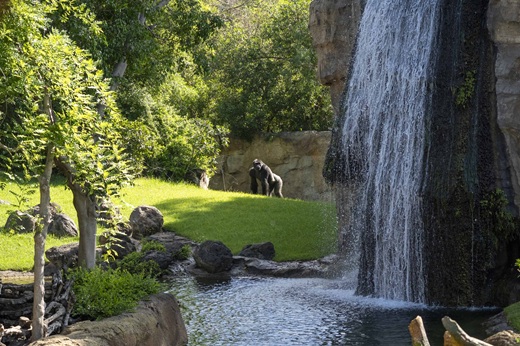 Bioparc Valencia