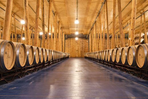 Bodega Bela