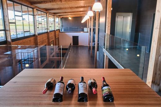 Bodega Bela