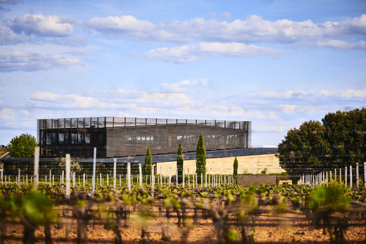 Bodega Bela