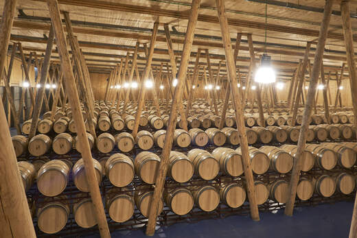 Bodega Bela
