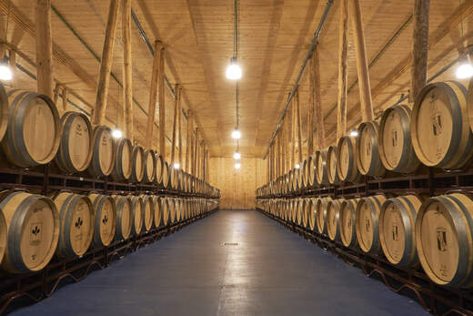 Bodega Bela