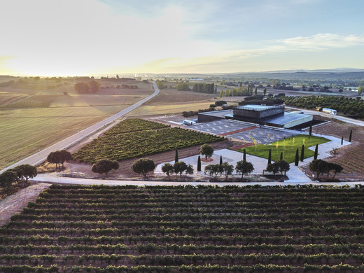 Bodega Bela