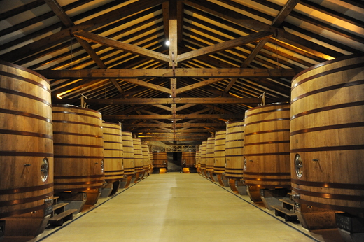 Bodega CVNE