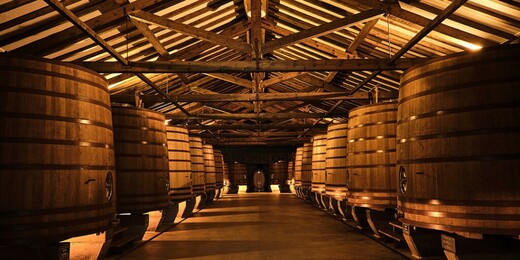 Bodega CVNE