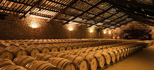 Bodega CVNE