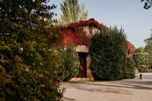 Bodega Vi&ntilde;edos del Contino