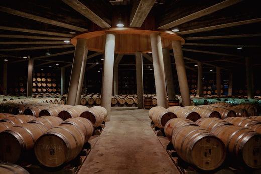 Bodega Vi&ntilde;a Real