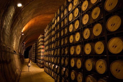 Bodega Vi&ntilde;a Real