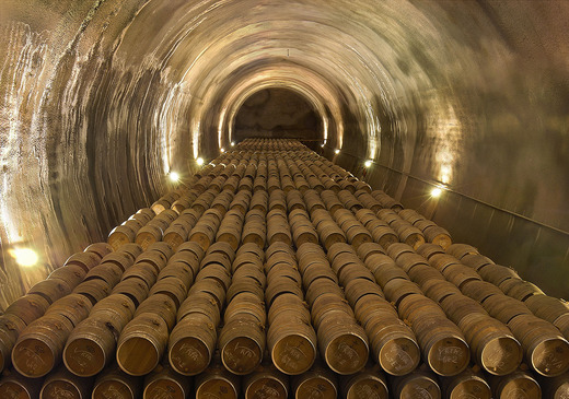 Bodega Vi&ntilde;a Real