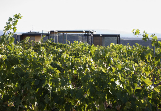 Bodega Vi&ntilde;a Real