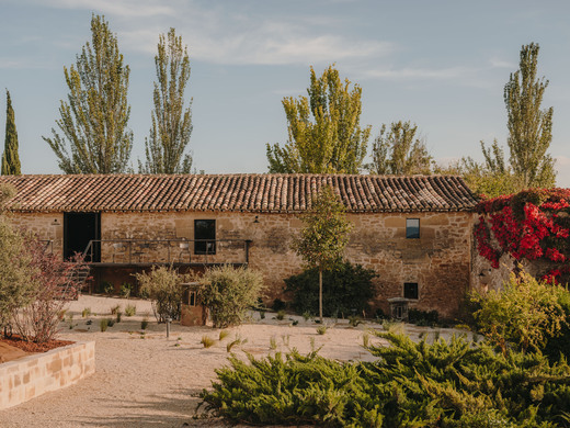 Bodega Vi&ntilde;edos del Contino