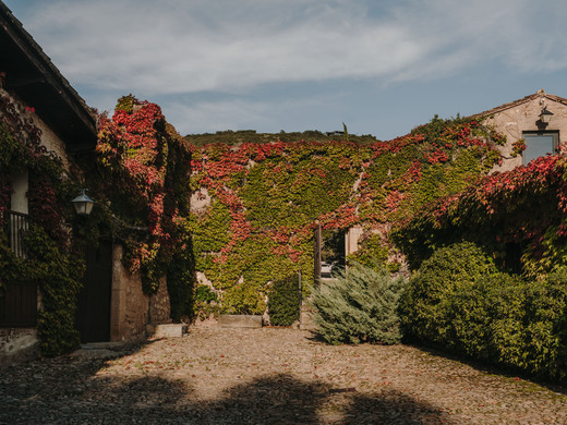 Bodega Vi&ntilde;edos del Contino