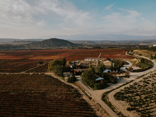 Bodega Vi&ntilde;edos del Contino
