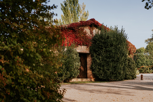 Bodega Vi&ntilde;edos del Contino