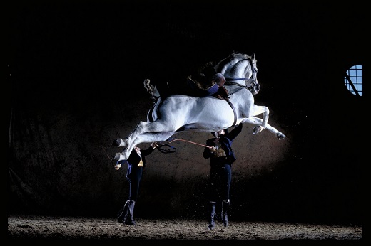 C&oacute;mo bailan los caballos andaluces