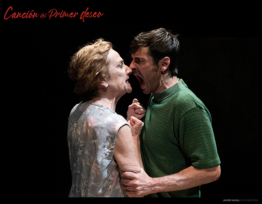 Canci&oacute;n del primer deseo