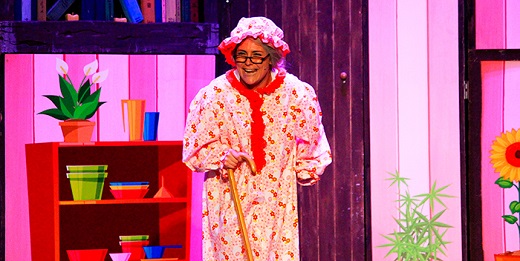 &iquest;Qui&eacute;n es la aut&eacute;ntica caperucita roja?