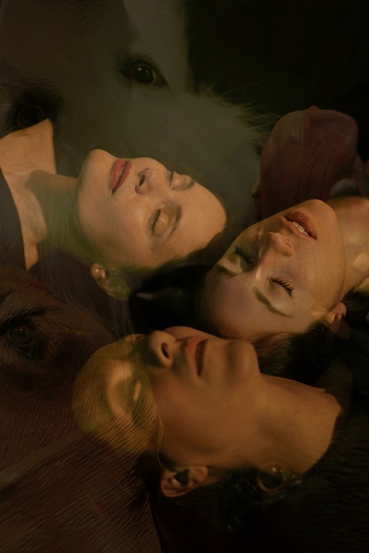 El coloquio de las perras