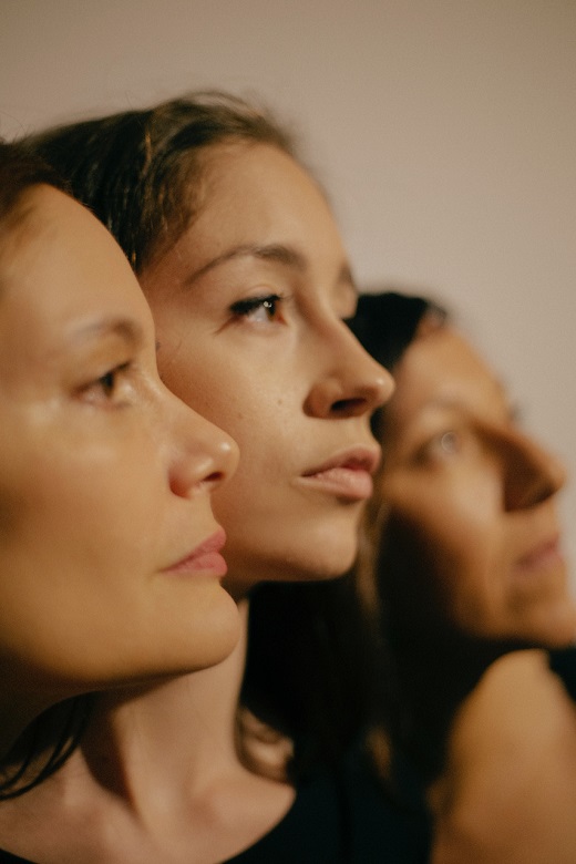 El coloquio de las perras