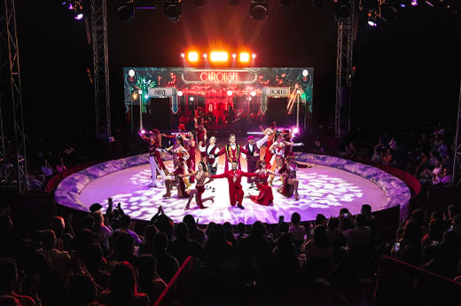 Circ Alegr&iacute;a On Ice