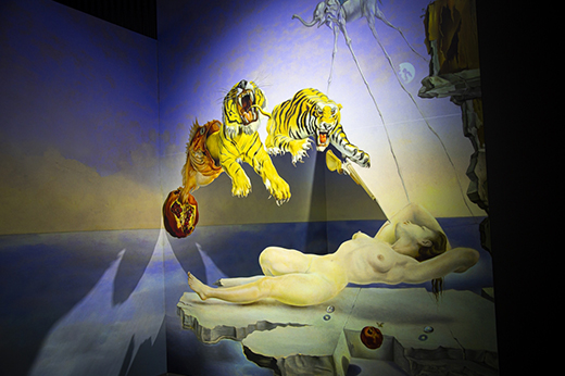 Desaf&iacute;o Dal&iacute;