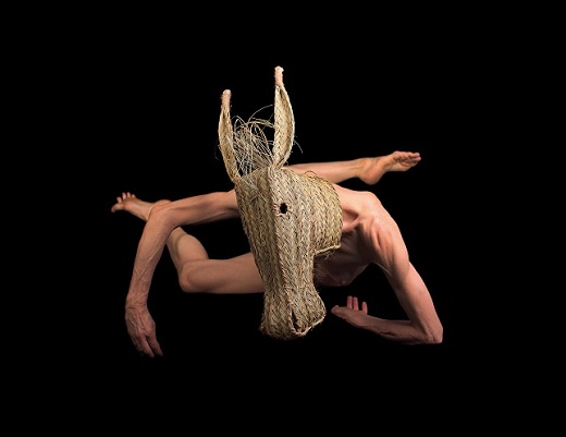 Animal de s&egrave;quia