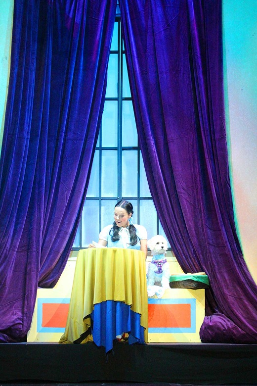 
El Maravilloso Mago De Oz El Musical