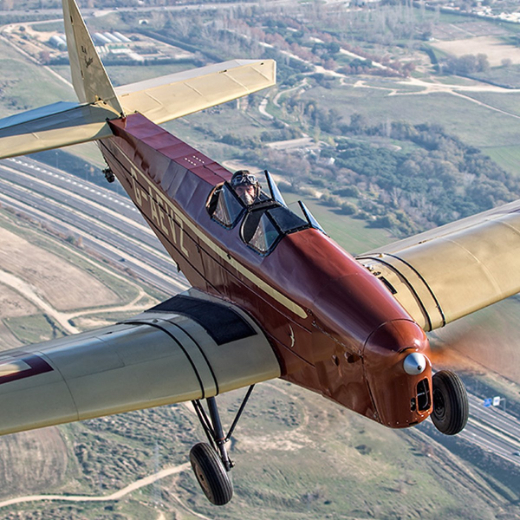 Exhibici&oacute;n en vuelo