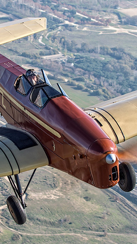 Exhibici&oacute;n en vuelo