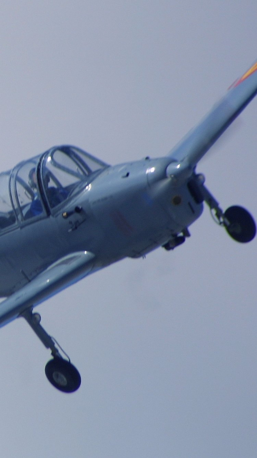 Exhibici&oacute;n en vuelo